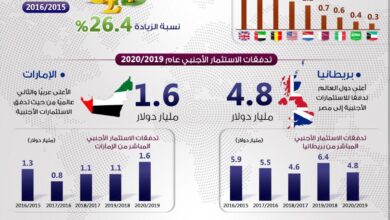 بريطانيا والإمارات أعلى دول العالم تدفقًا للاستثمارات الأجنبية إلى مصر